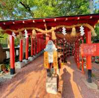 【金沢】花手水がかわいい神社⛩