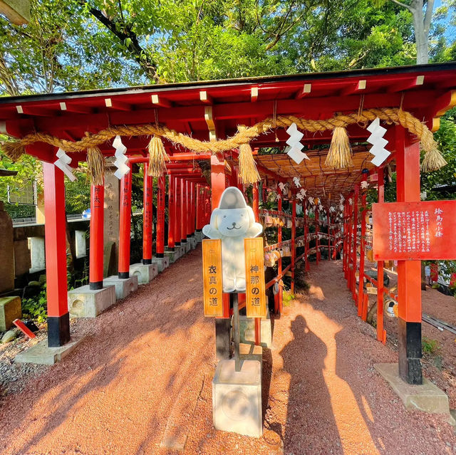 【金沢】花手水がかわいい神社⛩