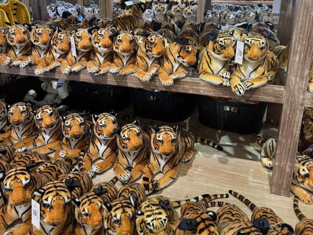 【タイ/プーケット 】タイガーと急接近！？🐅