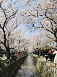 【京都/左京区】金閣寺と合わせて行きたい銀閣寺