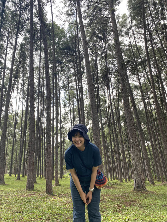 สวนสนบ่อแก้ว | จ.เชียงใหม่ 🌲🪵🍃✨
