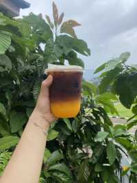 ไปดูดอกไม้แต่ถูกใจกาแฟส้ม 🍊