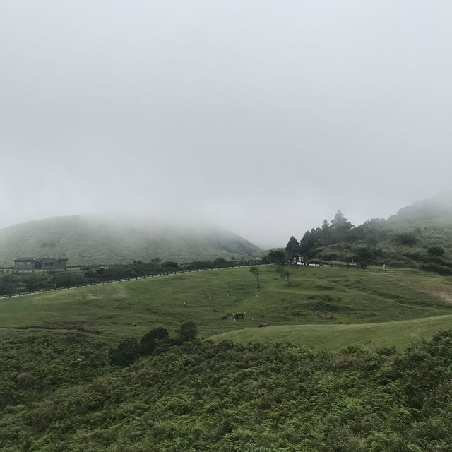 陽明山爬山之旅