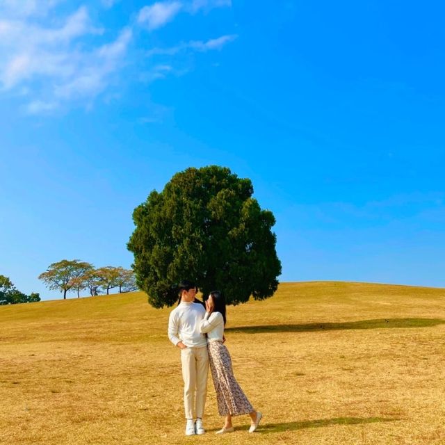 모든 꽃을 한번에 볼 수 있는 여기는⁉️