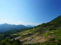 【三重/熊野】一生に一度は行きたい絶景！丸山千枚田
