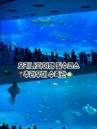 오키나와여행 필수코스📍추라우미 수족관(+인생샷은 덤!)