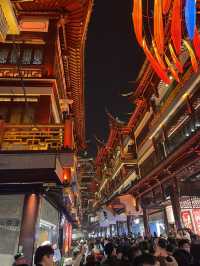 Yuyuan Old Street: A Journey Through Time Amidst Nighttime Lights