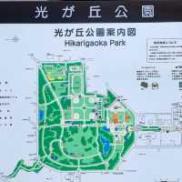 光之丘公園- 欣賞銀杏的隱藏景點 ，200米長的銀杏大道