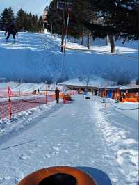 「國營瀧野鈴蘭丘陵公園：冬季雪地樂趣，適合全家」
