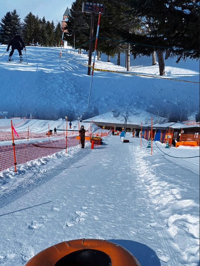 「國營瀧野鈴蘭丘陵公園：冬季雪地樂趣，適合全家」
