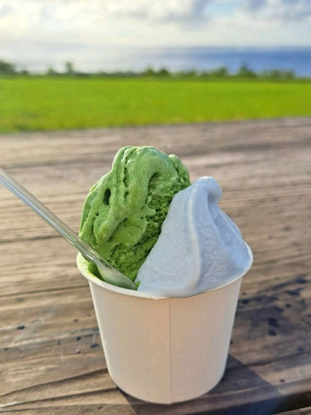 【ミルミル本舗 本店:石垣島】石垣島で人気のジェラート屋さん🍨