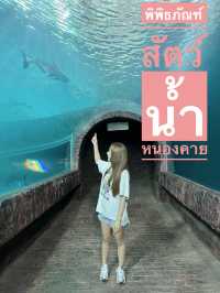 เที่ยวพิพิธภัณฑ์สัตว์น้ำ หนองคาย