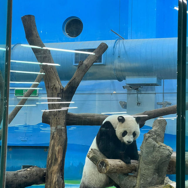 【台北動物園】 台北市立動物園😎