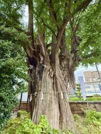 【東京都】大田区で最も古い神社