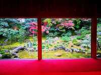  【高知】夢窓疎石作庭のお庭！五台山 竹林寺