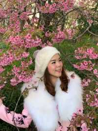 ศูนย์วิจัยเกษตรหลวงเชียงใหม่ ขุนวาง