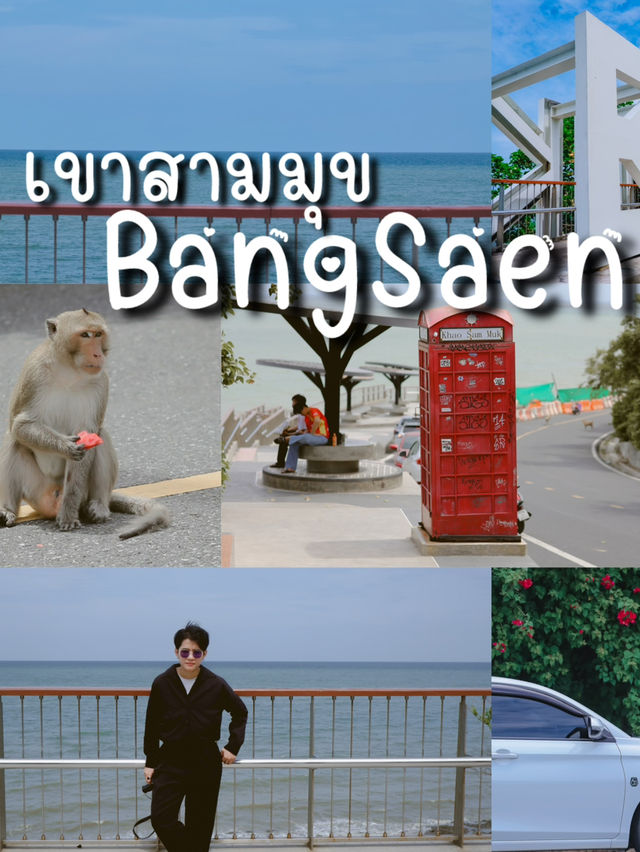 แจกแพลนเที่ยวชิวๆ บางแสนใน 1 วัน 