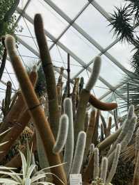 Guinness World Record for World’s Largest Glass Greenhouse 🇸🇬