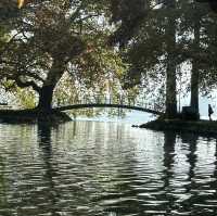 楚格湖畔的美麗公園
