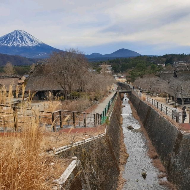 富士山與合掌村的完美組合〔西湖療癒之里根場〕