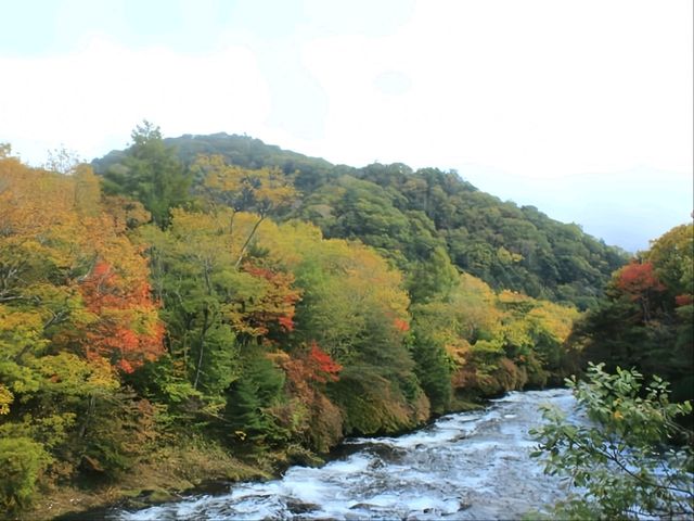  日光秋日-寂寥的戰場之原/中禪寺湖/古老神社東照宮