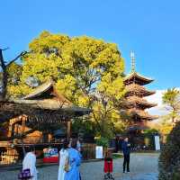 景點推薦：上野東照宮，夏日綠意中的古老神社