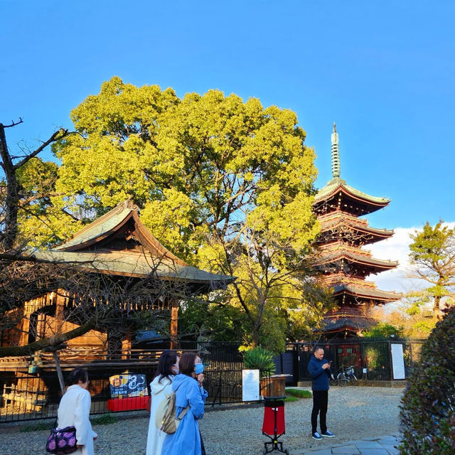 景點推薦：上野東照宮，夏日綠意中的古老神社