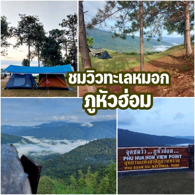 ชมทะเลหมอกที่ ภูหัวฮ่อม จังหวัดเลย