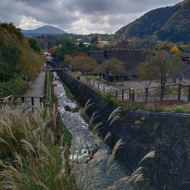 西湖療癒之里根場