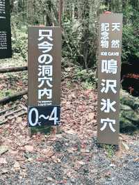 日本🇯🇵｜富岳風穴｜嗚澤冰穴｜大自然的鬼斧神工