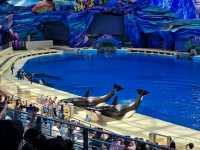 Chimelong Ocean Kingdom in Zhuhai, China