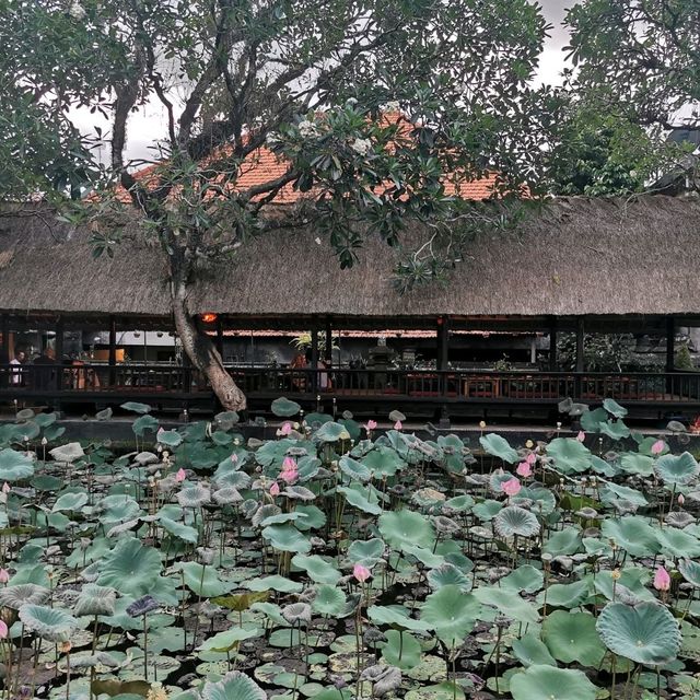 Ubud Bali