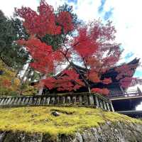 【栃木】東京から行きやすい人気紅葉スポット🍁