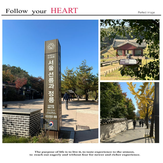 發掘首爾江南區遺跡景點…