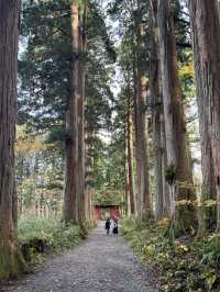 Beyond the Gate: Togakushi Shrine