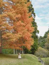 【秋の奈良ドライブにおすすめ】室生山上公園芸術の森