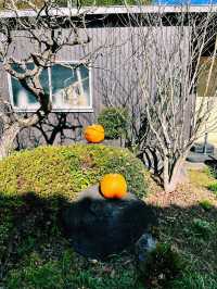 【静岡県/伊豆　原材料からこだわり抜いて作られた絶品『3種類のおはぎ』専門店】