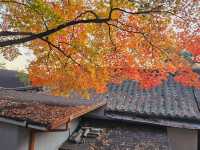The magnificient autumn foliage at Gilsangsa