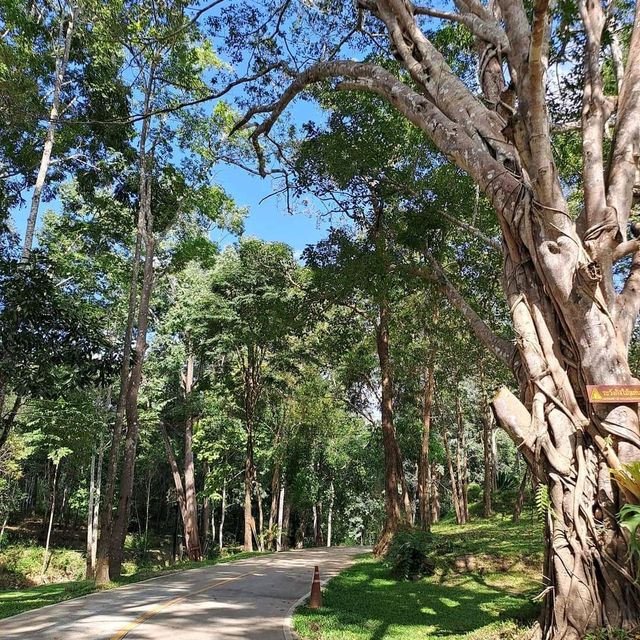 อุทยานแห่งชาติขุนขาน