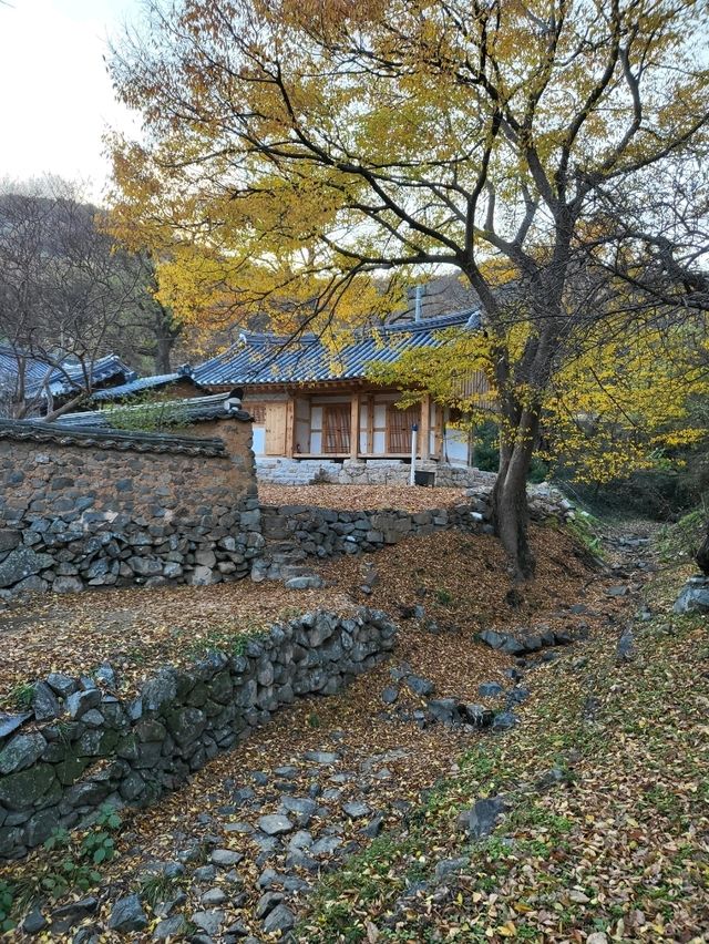 만추의 아름다움이 가득한 밀양 여행지
