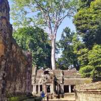 Cambodia 
