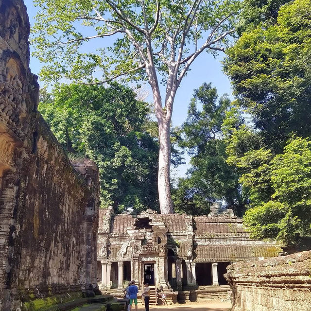 Cambodia 