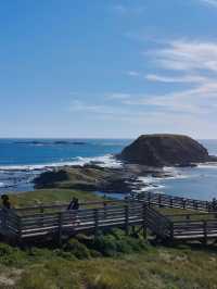 Phillip Island: Wildlife Wonders and Coastal Beauty
