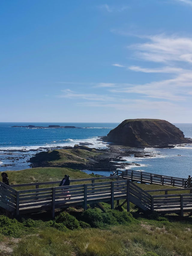 Phillip Island: Wildlife Wonders and Coastal Beauty