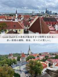 【エストニア】タリン日帰り観光のモデルルート紹介🇪🇪