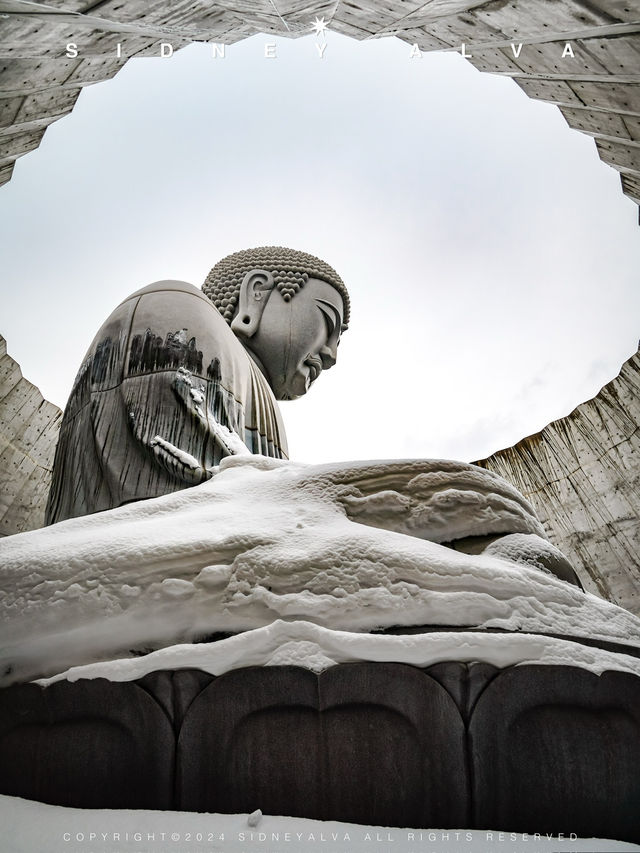 🗿頭大佛|札幌不可錯過的靜謐禪境