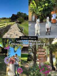 One Day Trip Khaoyai : เที่ยวเขาใหญ่ไปเช้าเย็นกลับ