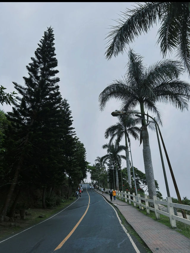 Tagaytay: A Serene Getaway with Stunning Views