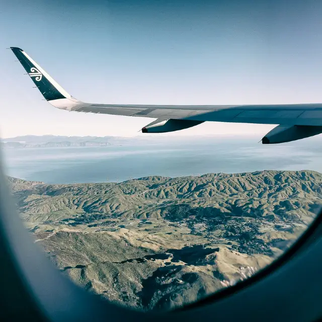 Wellington: New Zealand’s Coolest Little Capital