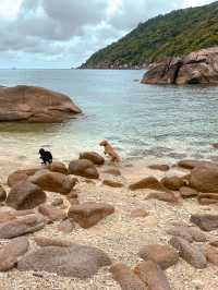 ชวนเดินป่า ไปดู Lighthouse  เกาะเต่ากัน 🏝️🐢